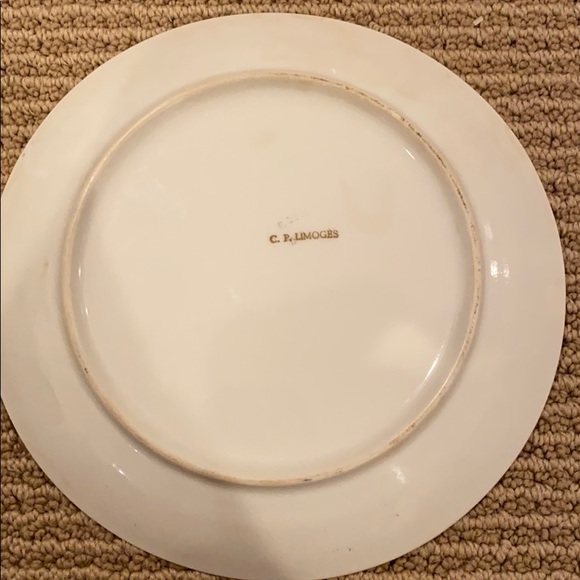 🔴💥HP💥LIMOGES PLATE VINTAGE - Picture 4 of 6